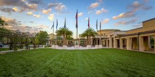 Silver Palms Gallery 25