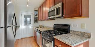 4863-67 N Hermitage Gallery 9