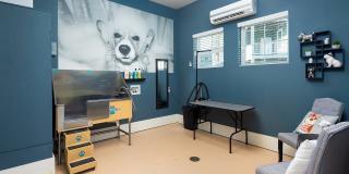 Abberly Market Point Gallery 20