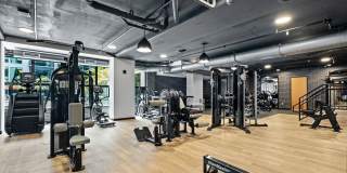 Aster & Links Gallery 52