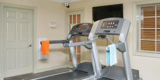 Crystal Springs Gallery 15