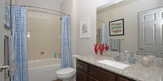 TGM Ibis Walk Gallery 6