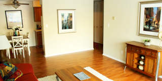 Willows on France Gallery 32