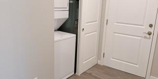 Spacious 3 & 4 Bedroom Apartments Near WWU + Downtown Gallery 53