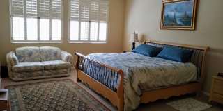 10537 E CEDAR WAXWING Drive Gallery 6