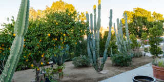 15490 Avenue Rambla Gallery 3