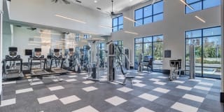 Nexus Brandon Gallery 50