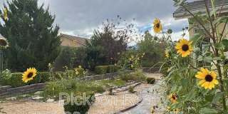 1720 Ornellaia Way Gallery 27