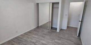 503 Springdale Circle Gallery 10