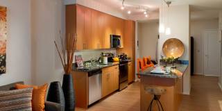 Solaire 1150 Ripley Gallery 10