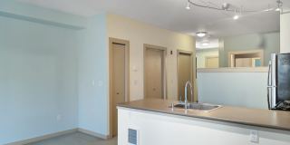 Spacious Condo in Prime Location of Capitol Hill Gallery 6
