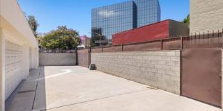 Corner lot home on a classic tree lined Beverly Hills street Gallery 16