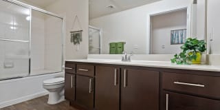 Mountainside Gallery 13
