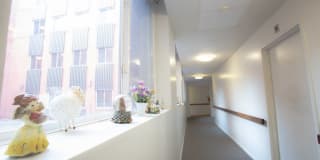 Silver Pond Gallery 1