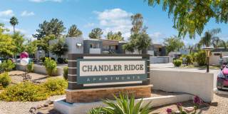 Chandler Ridge Gallery 23