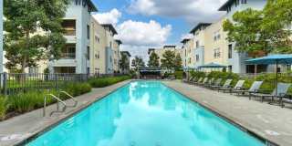 Palomar Station Gallery 19