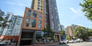 Ellis Bethesda Gallery 15