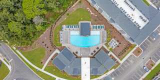 Waterleaf at Salt Creek Gallery 31