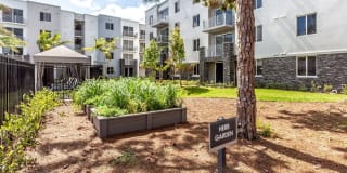 Metropolitan Gallery 9