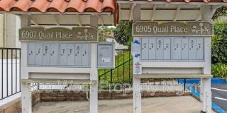 6907 Quail Pl. Gallery 38