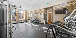 Emblem Renata Gallery 20