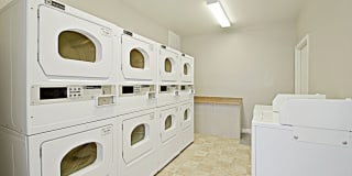 544 Southern Gallery 31