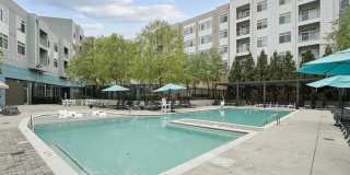 The Daley at Shady Grove Apartments Gallery 12