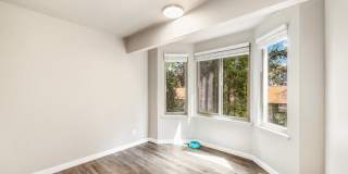 Forest Hill Village Gallery 15