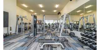 Reveal Skyline Gallery 18