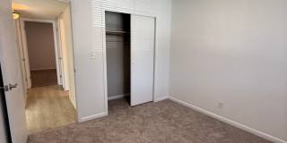 Andrew Gallery 29