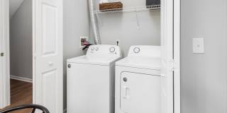 Albany Landings Gallery 21