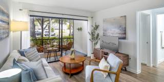 Emerald Palms Gallery 7
