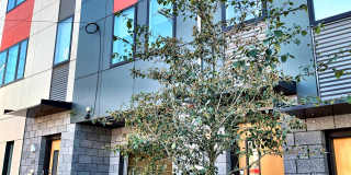 312 47th Street Gallery 1