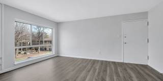 Reston Glade Gallery 4