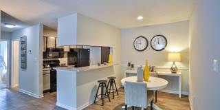 The Summit at Rock Hill Gallery 5