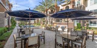 Valentia by Windsor Gallery 20