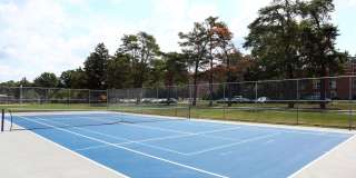 Metropolitan Doylestown Gallery 51