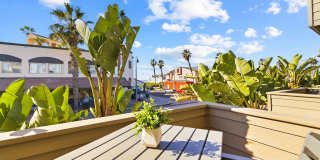 731 Seacoast Dr Gallery 19