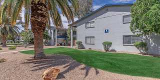 Equinox on Prince Gallery 11