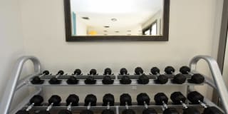 The Palmer Gallery 13