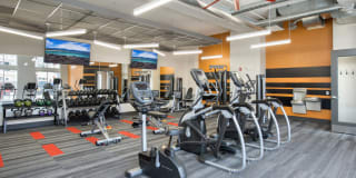 Breakwater Gallery 13