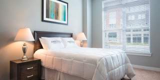 Arbuckle II Gallery 13