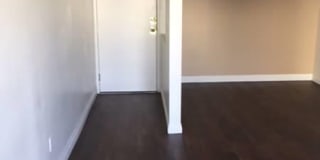 Poinsettia Club Gallery 3