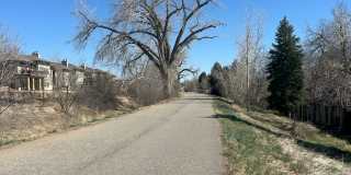 1818 S Quebec Way Gallery 24