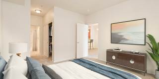 Apex Apartments Gallery 16