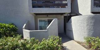 Spacious 2 Bedroom with Private Patio & In-Unit Laundry Gallery 1