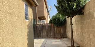 7082 N Refinement Drive Gallery 22