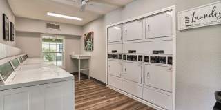 The Palm on SPID Gallery 20