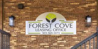Forest Cove Gallery 3