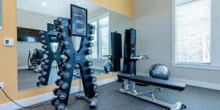 The Bonavia at Withers Farm Gallery 5